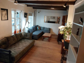 19th Century Downtown Apartment